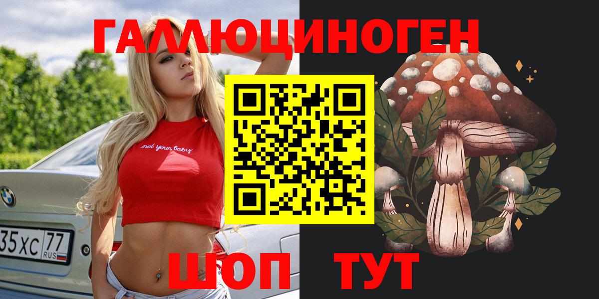 Псилоцибиновые грибы GOLDEN TEACHER  Вход с VPN  Псилоцибиновые грибы Magic Shrooms  Калач-на-Дону 